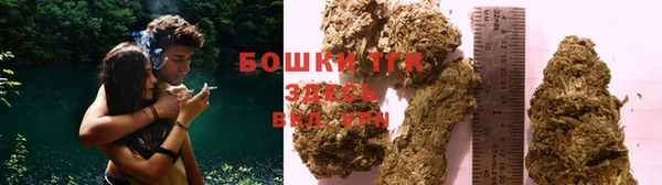 тгк Бородино