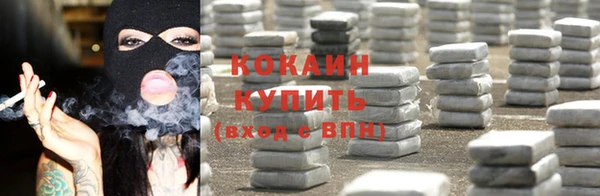 спиды Богданович