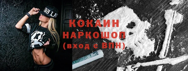 тгк Бородино