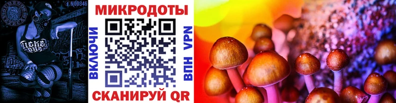 ОМГ ОМГ сайт  Томари  Псилоцибиновые грибы Psilocybe 